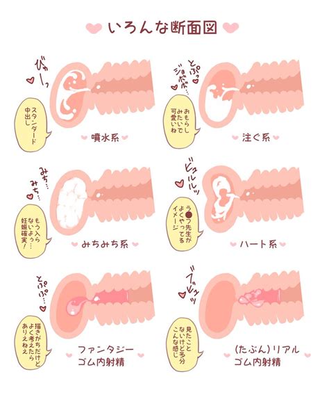 中出し断面図|JKの中出し断面図付き二次エロ画像